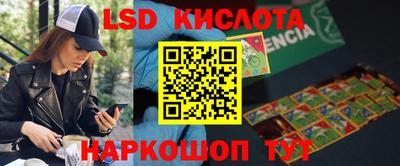 стафф Кулебаки