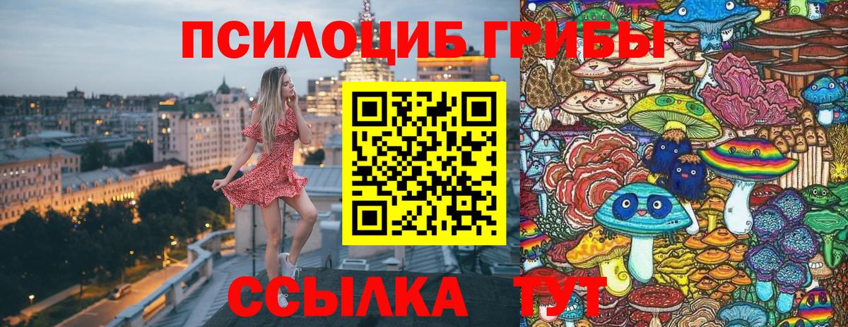 Псилоцибиновые грибы Psilocybine cubensis Зерноград