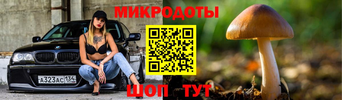 Псилоцибиновые грибы Psilocybine cubensis  Вход с VPN  где найти наркотики  Зерноград 