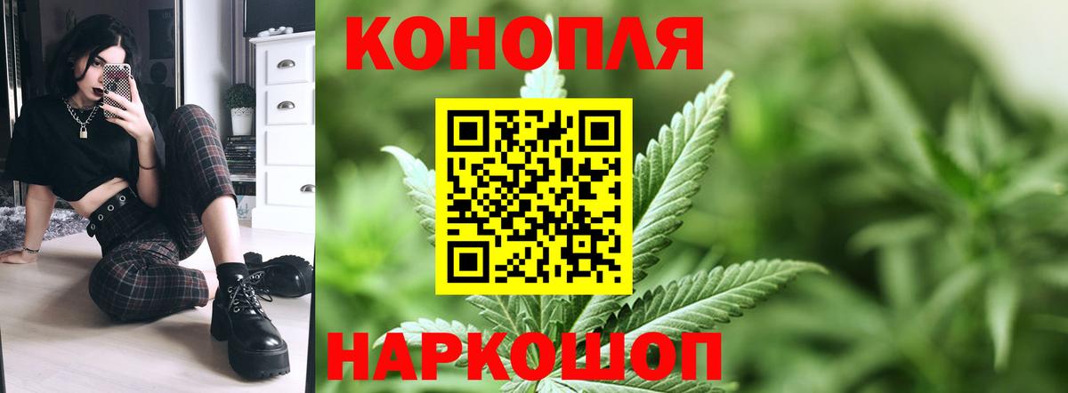 Бошки Шишки семена  Вход с VPN  Бошки марихуана SATIVA & INDICA  Бошки марихуана OG Kush  Зерноград 